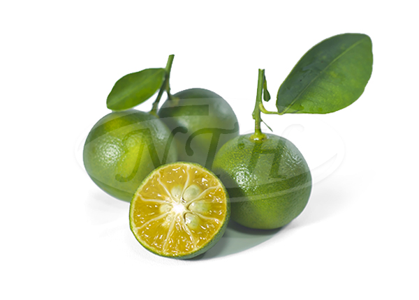Lime/ Limau Kasturi